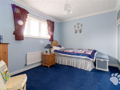Picture 24